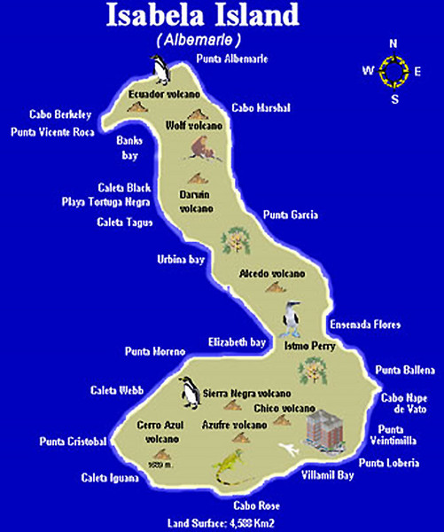 Isla Isabela en Galápagos: alojamiento, qué ver, transporte - Alojamiento en Galápagos: Santa Cruz, Isabela, San Cristóbal